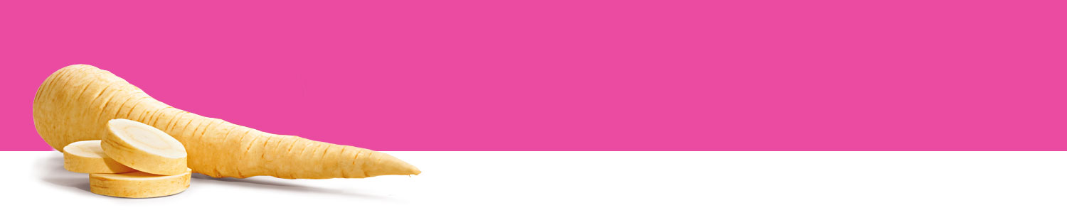 A large, spiral-shaped, beige object with a series of circular, sliced sections rests against a pink background.