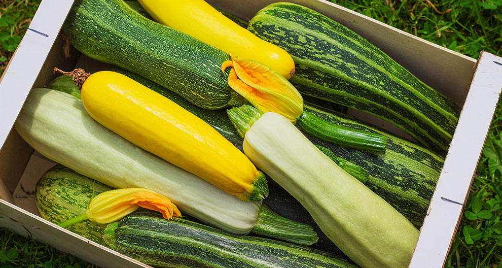 A wooden crate filled with green and yellow squashes rests on a grassy surface.