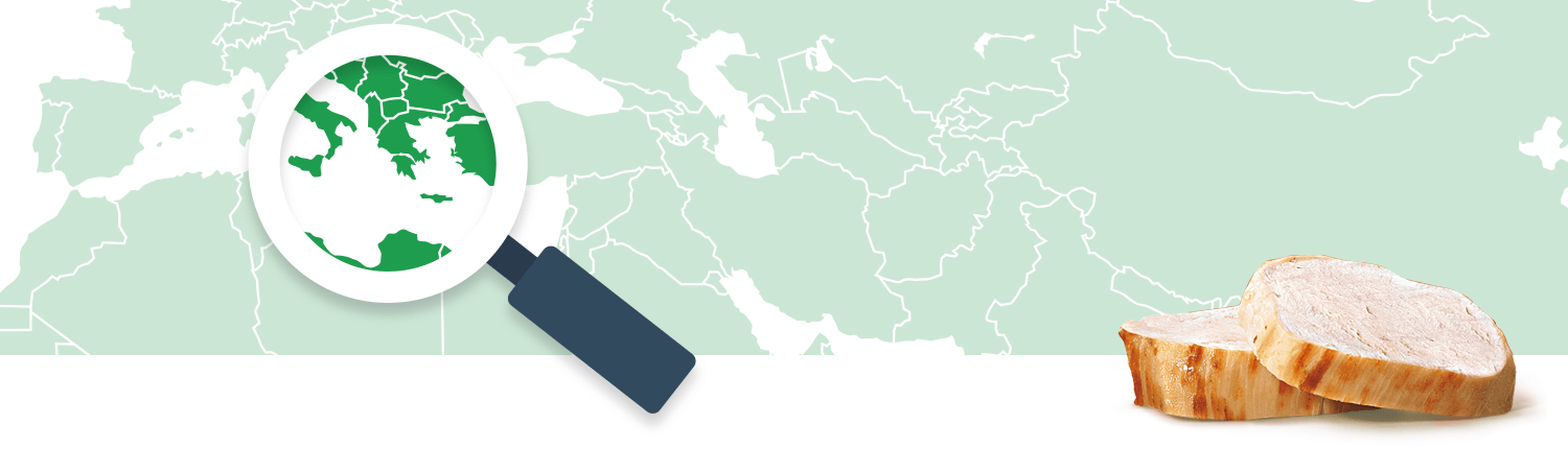A magnifying glass focuses on a green region of a world map, while a wooden log sits to the right.