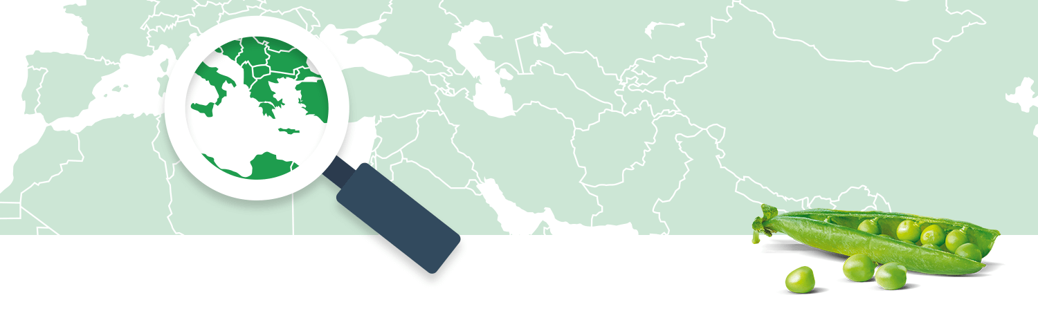 A magnifying glass focuses on a region of a world map, while a pod of green peas lies on the bottom right.