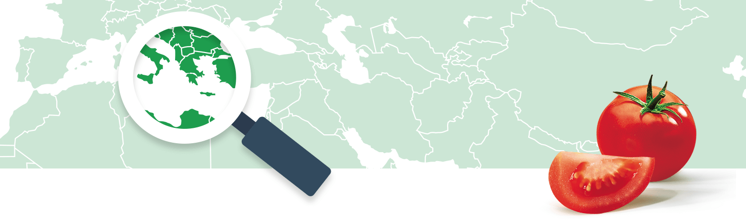 A magnifying glass focuses on a green region of a world map, while a tomato and its slice are prominently displayed in the foreground.