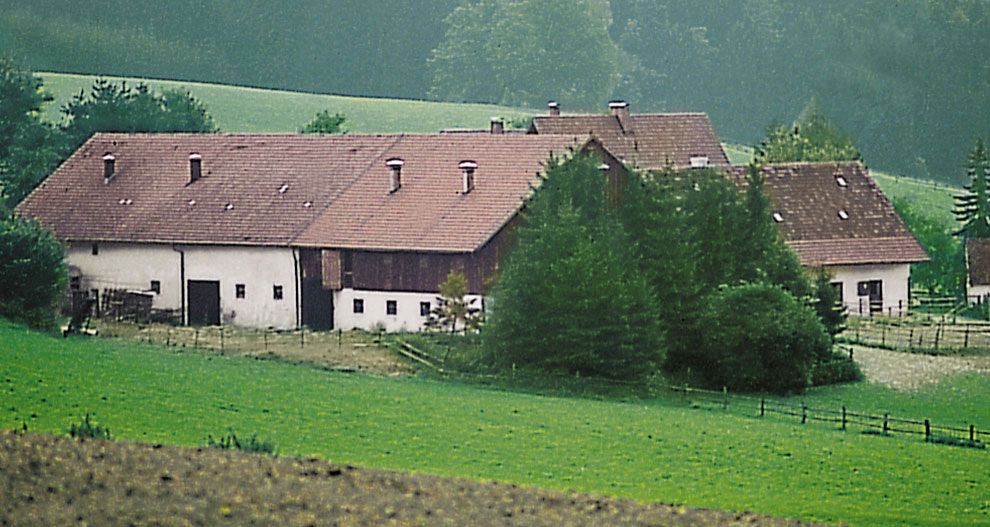 Seoski prizor s bijelom zgradom, smeđim krovovima i zelenim poljima.