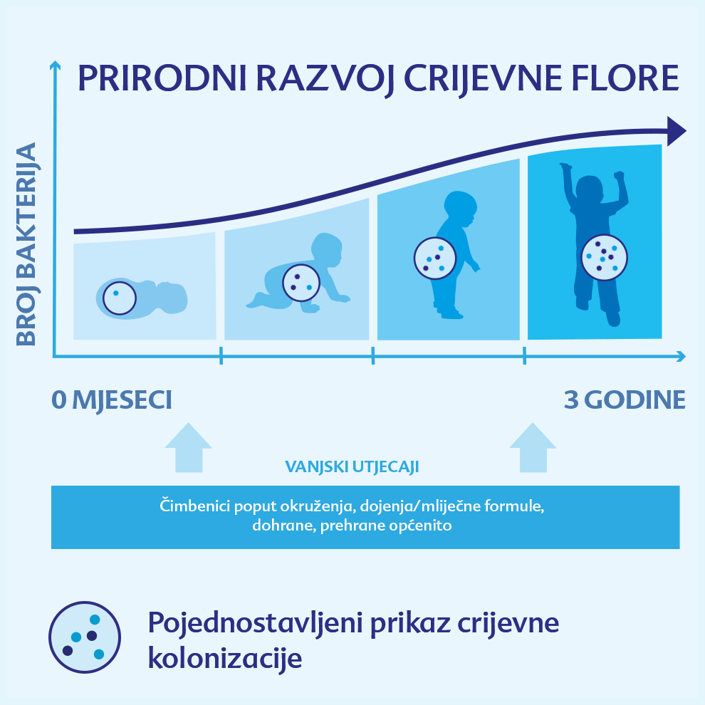Napredak bakterijske kolonizacije u ljudskom crijevu od rođenja do tri godine, s popratnim tekstom na stranom jeziku koji opisuje faze i čimbenike koji utječu na rast bakterija.